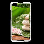 Coque Blackberry Z30 Galet et feuilles mouillées