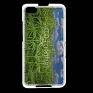 Coque Blackberry Z30 Champs de cannabis