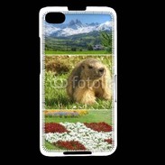 Coque Blackberry Z30 Savoie 1