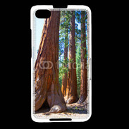 Coque Blackberry Z30 Séquoias parc du Yosemite 