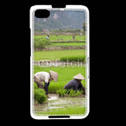 Coque Blackberry Z30 Rizière au Vietnam