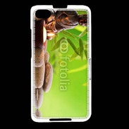 Coque Blackberry Z30 Bouddha zen