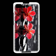 Coque Blackberry Z30 Spa et nature 5