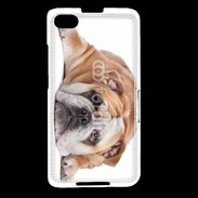 Coque Blackberry Z30 Bulldog anglais 2