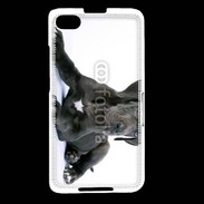 Coque Blackberry Z30 Dogue allemand noir