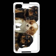 Coque Blackberry Z30 Chiot King Charles