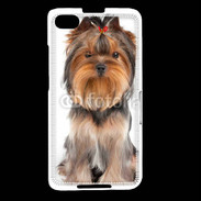 Coque Blackberry Z30 Yorkshire Terrier
