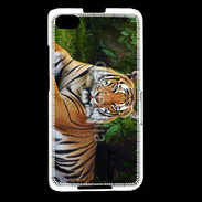 Coque Blackberry Z30 Tigre de Sumatra