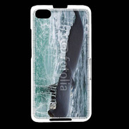 Coque Blackberry Z30 Queue de Baleine 2