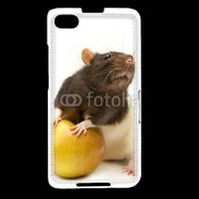 Coque Blackberry Z30 Rat bicouleur
