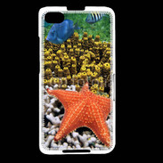 Coque Blackberry Z30 Etoile de mer