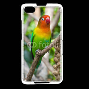 Coque Blackberry Z30 Oiseau Inséparable