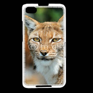 Coque Blackberry Z30 Lynx 1