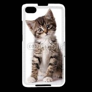 Coque Blackberry Z30 Chaton gris 3