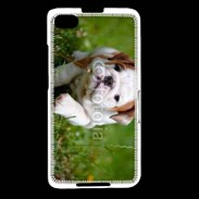 Coque Blackberry Z30 Chiot bulldog anglais 3