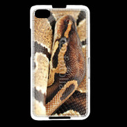 Coque Blackberry Z30 Python enroulé