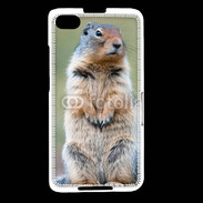 Coque Blackberry Z30 Marmotte 2
