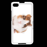 Coque Blackberry Z30 Cochon d'inde 2