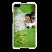 Coque Blackberry Z30 Berger australien