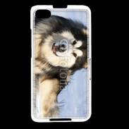 Coque Blackberry Z30 Chien d'Alaska
