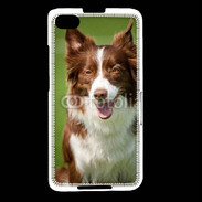 Coque Blackberry Z30 Chien Colley marron et blanc