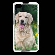 Coque Blackberry Z30 Portrait de Chien Golden 5