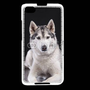 Coque Blackberry Z30 Chien Husky de Sibérie