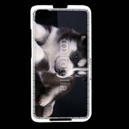 Coque Blackberry Z30 Chiot Husky de Sibérie