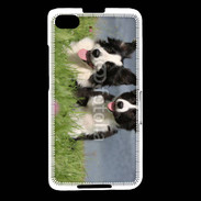 Coque Blackberry Z30 Chien Border Collie noir et blanc
