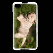 Coque Blackberry Z30 Chiot labrador 3