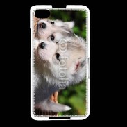 Coque Blackberry Z30 Chiot Husky de Sibérie 3