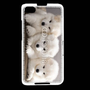 Coque Blackberry Z30 Chiot japonais blanc