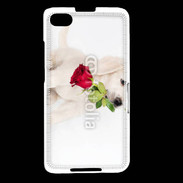 Coque Blackberry Z30 Chiot Golden retriever 2