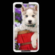 Coque Blackberry Z30 Portrait chiot Husky de Sibérie 1