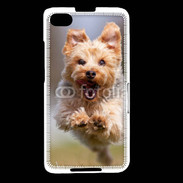 Coque Blackberry Z30 Yorkshire terrier 6