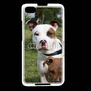 Coque Blackberry Z30 Chien Staffordshire