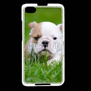 Coque Blackberry Z30 Petit Bulldog anglais