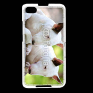 Coque Blackberry Z30 Chien Bull terrier anglais 1