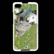 Coque Blackberry Z30 Chiot blanc et gris 1