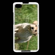 Coque Blackberry Z30 Mignon petit labrador