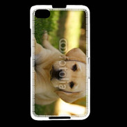 Coque Blackberry Z30 Chiot labrador 4