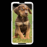 Coque Blackberry Z30 Chiot marron 2