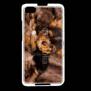 Coque Blackberry Z30 Chiot Yorkshire 10