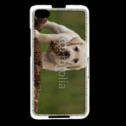 Coque Blackberry Z30 Chiot labrador avec pomme de pin