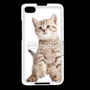 Coque Blackberry Z30 Adorable chaton 7