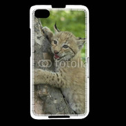 Coque Blackberry Z30 Bébé Lynx