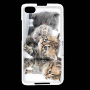 Coque Blackberry Z30 Groupe de chatons 7
