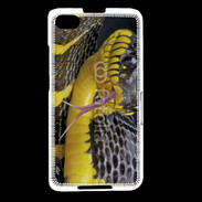 Coque Blackberry Z30 Serpent noir et jaune