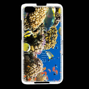 Coque Blackberry Z30 Poisson et coraux de toutes les couleurs