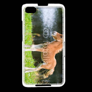 Coque Blackberry Z30 Poulain marron et blanc